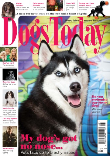 Dogs Today Magazine issue 