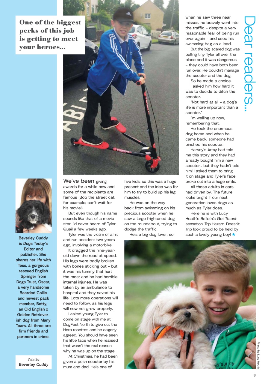 Dogs Today Magazine Preview Pages