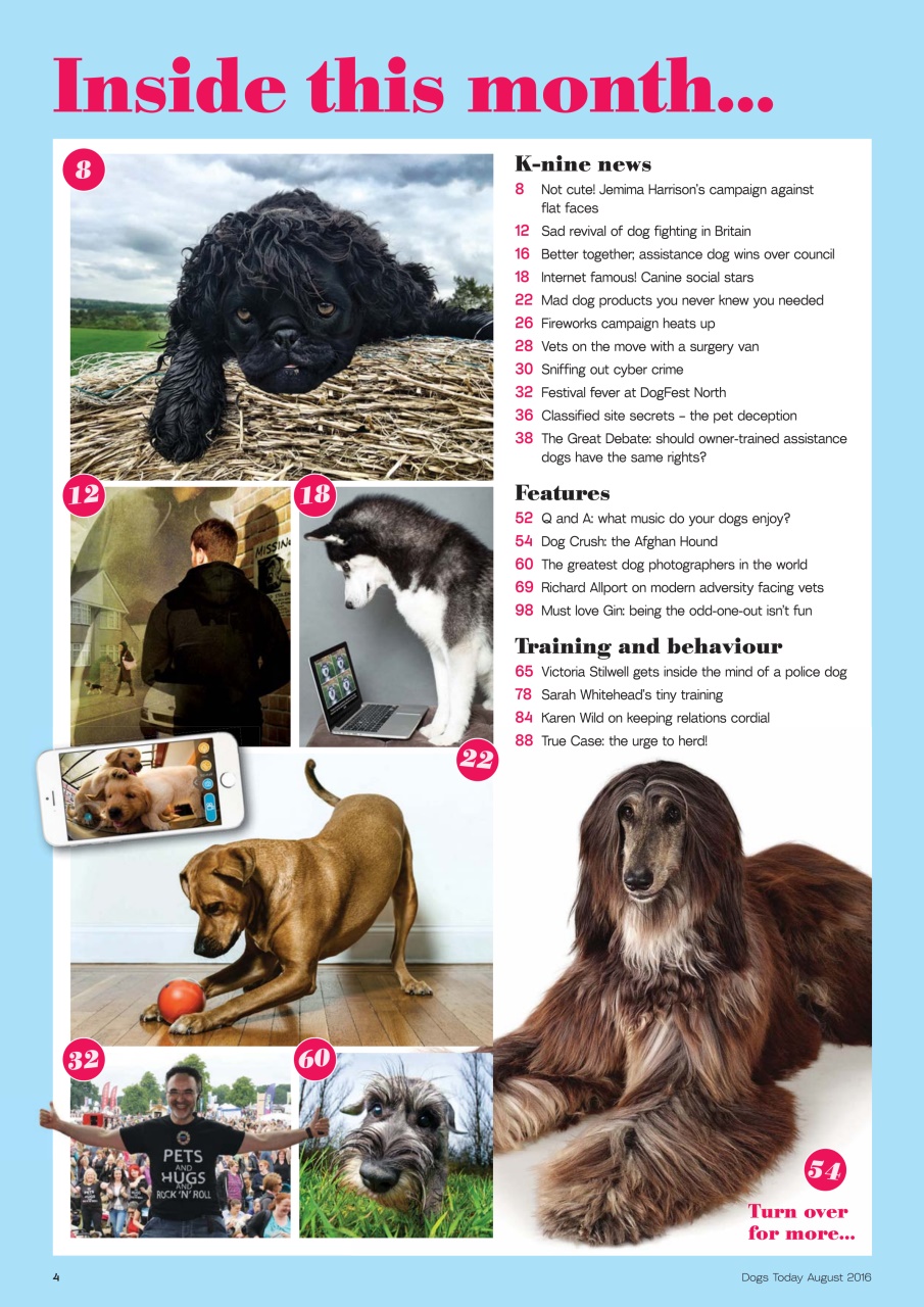 Dogs Today Magazine Preview Pages