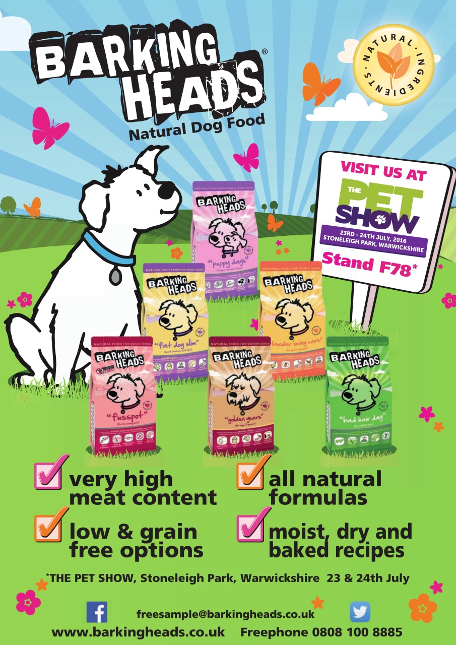 Dogs Today Magazine Preview Pages