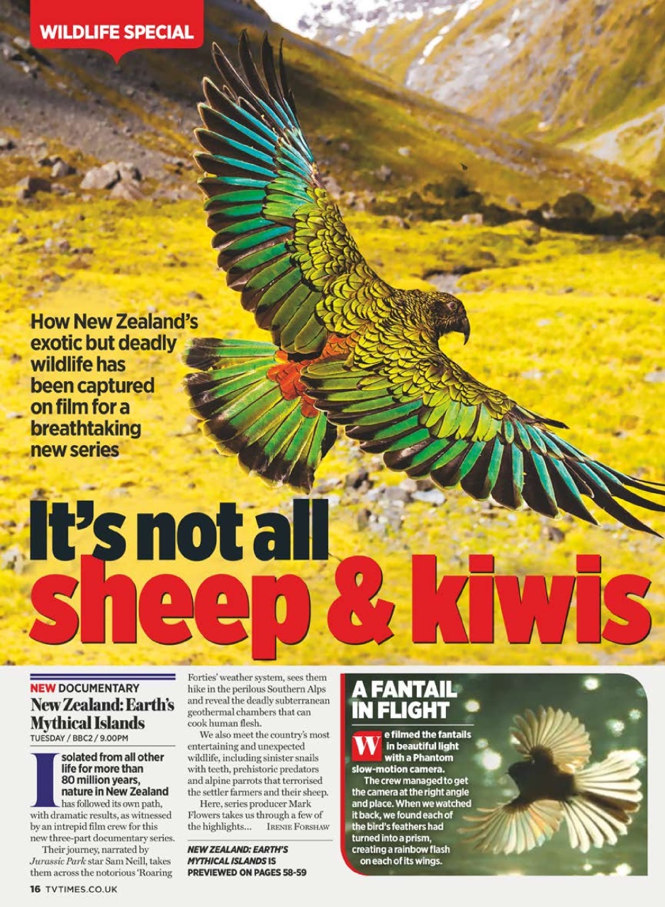 TV Times Preview Pages