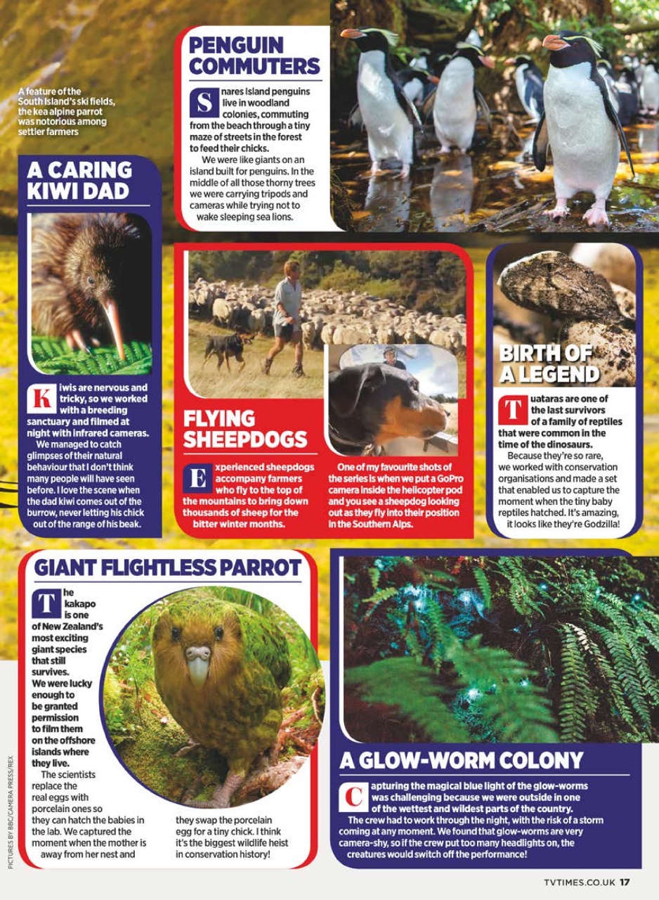 TV Times Preview Pages