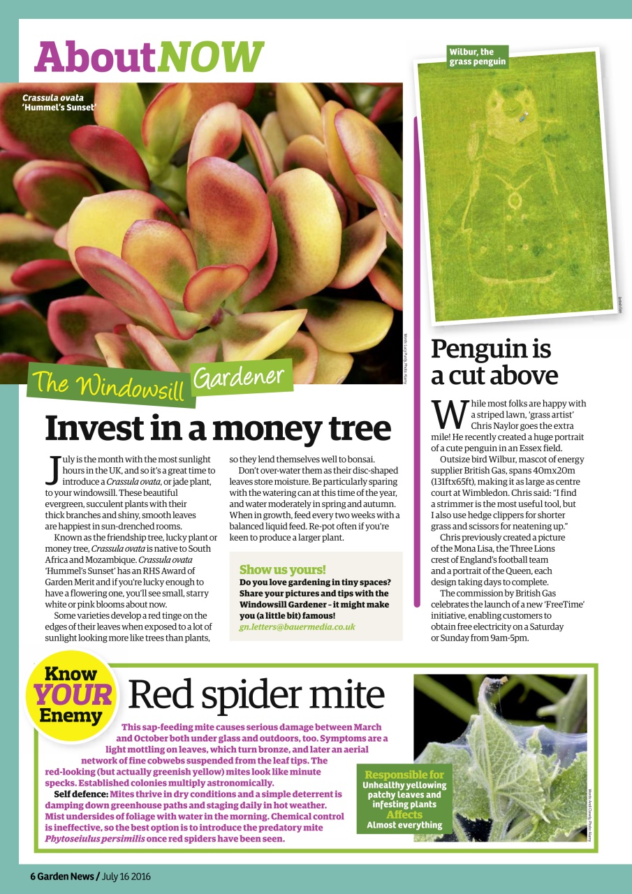 Garden News Preview Pages