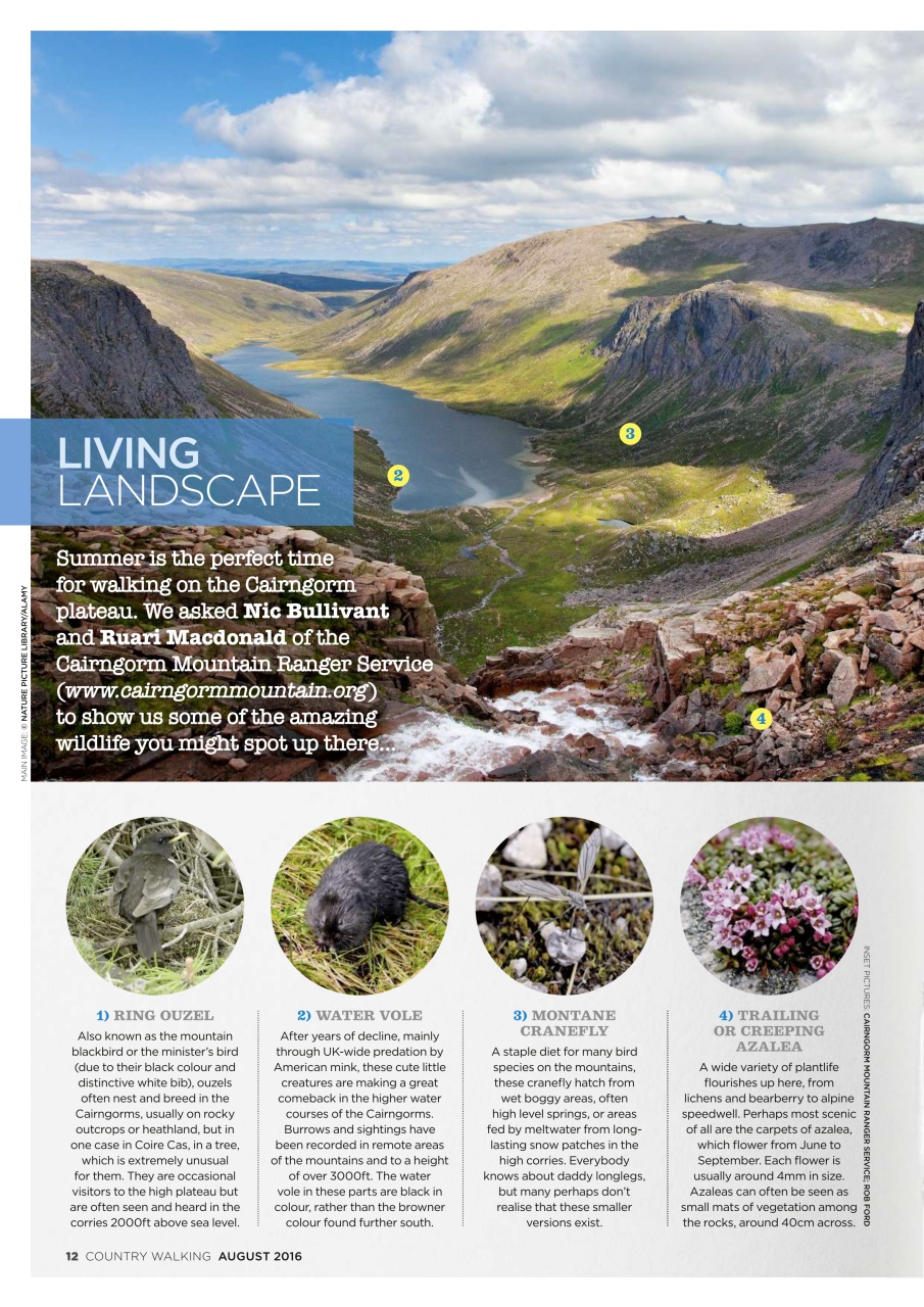 Country Walking Preview Pages