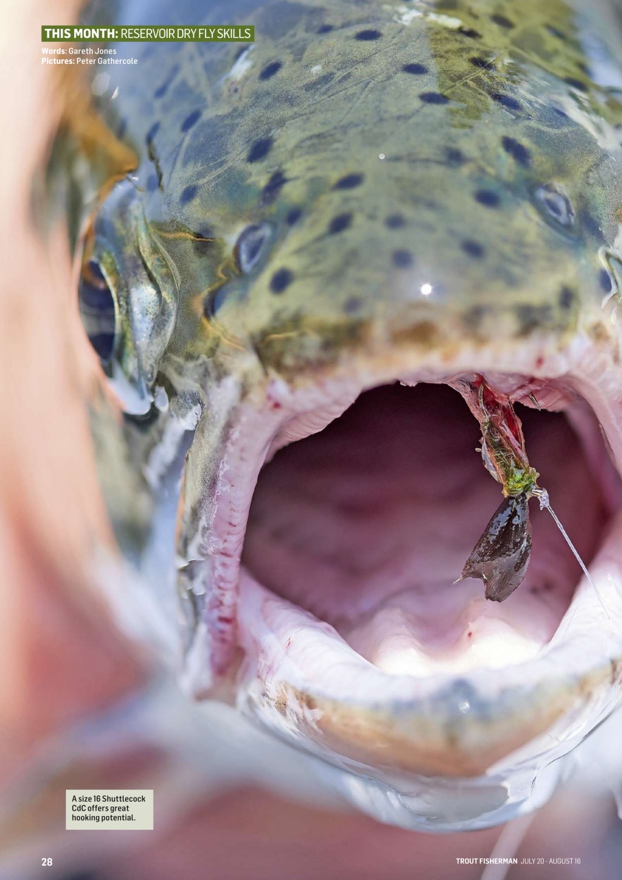 Trout Fisherman Preview Pages