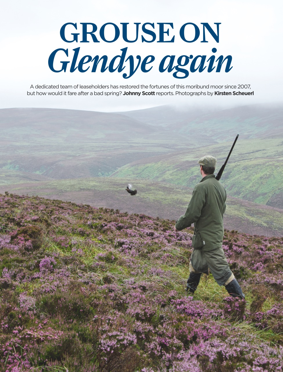 The Field Preview Pages