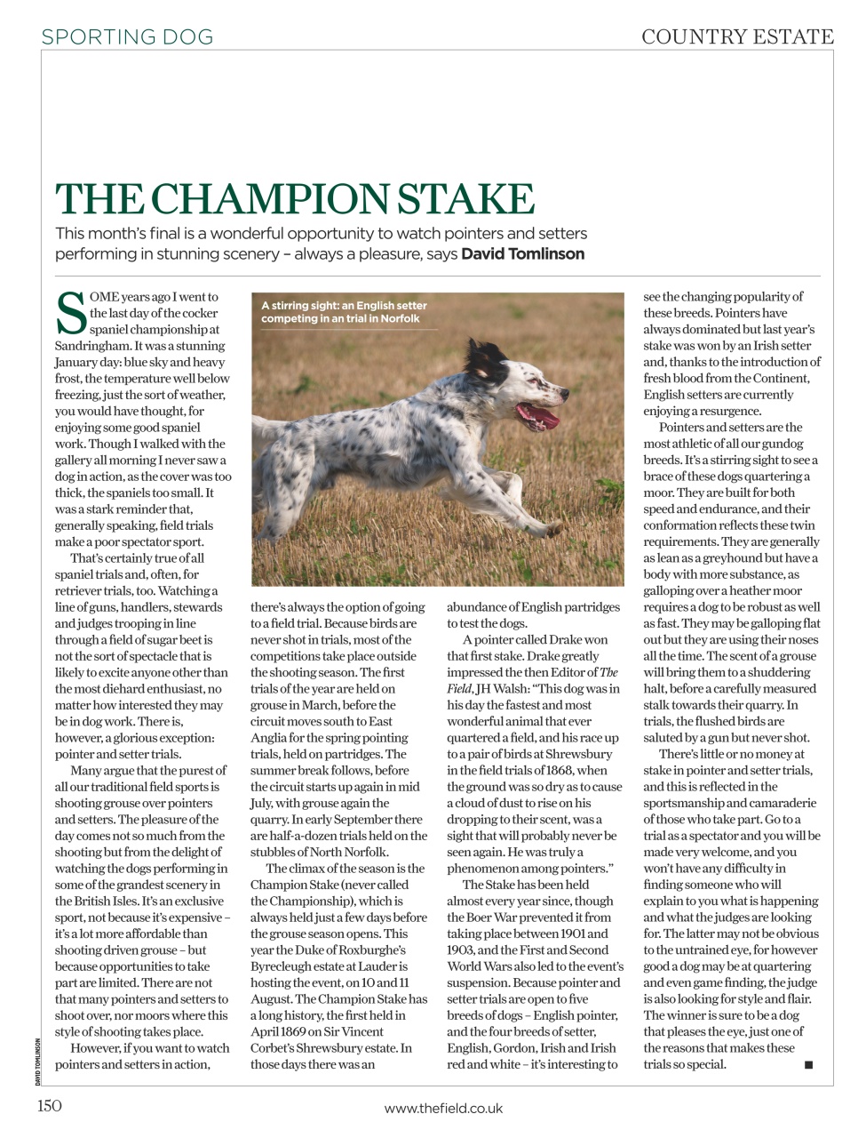 The Field Preview Pages