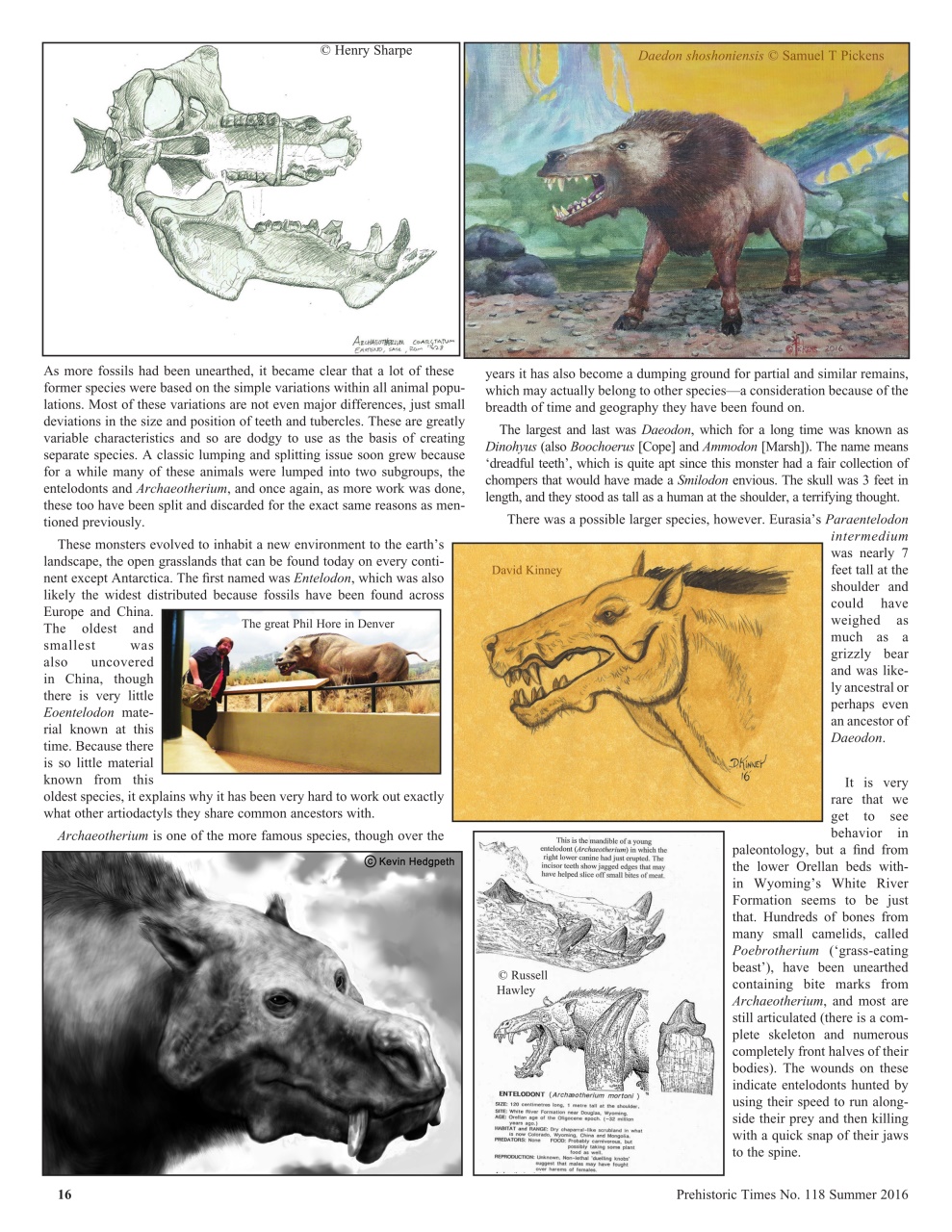 Prehistoric Times Preview Pages