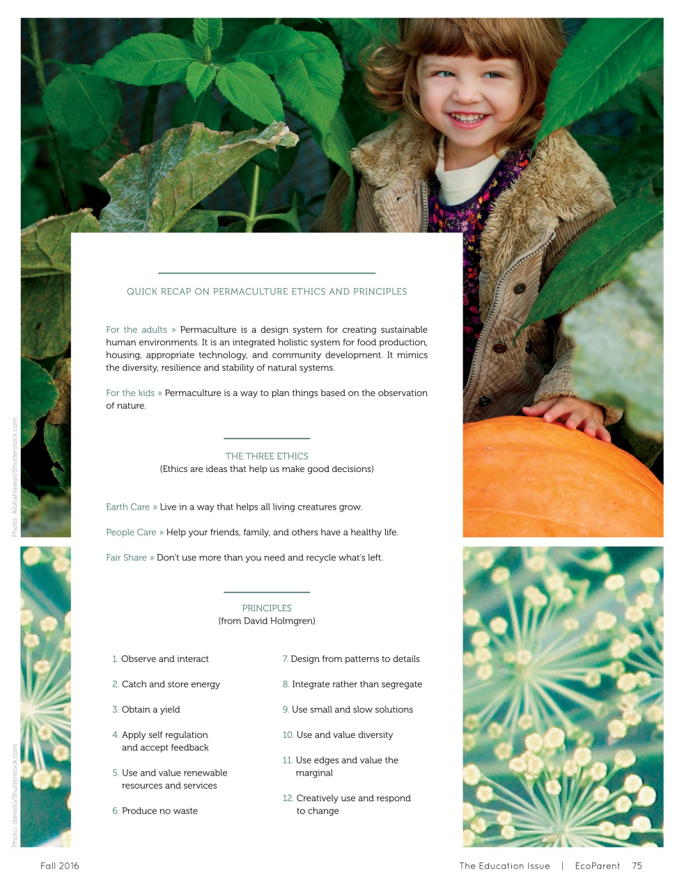 Ecoparent Magazine Preview Pages