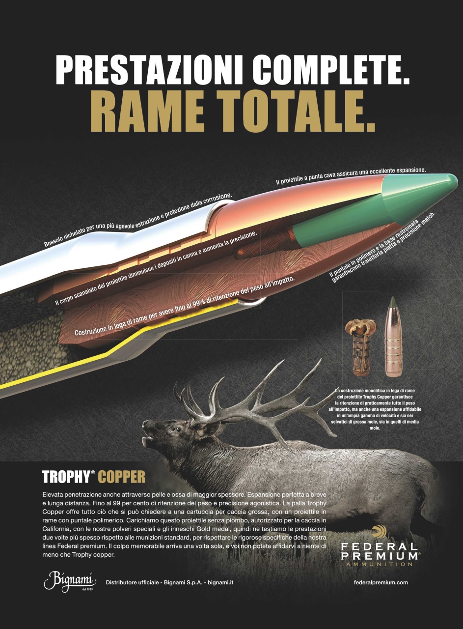 Caccia Magazine Preview Pages