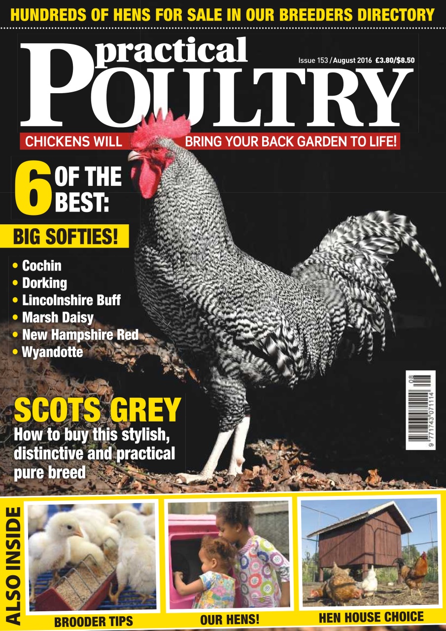 Practical Poultry Preview Pages
