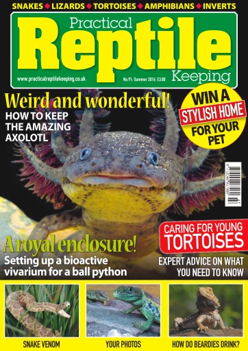 Practical Reptile Keeping issue 