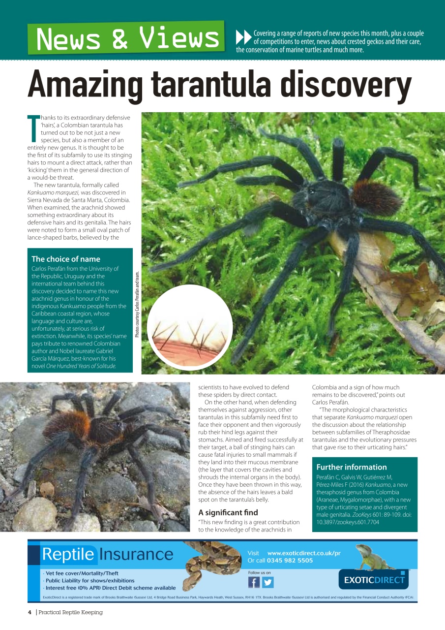 Practical Reptile Keeping Preview Pages