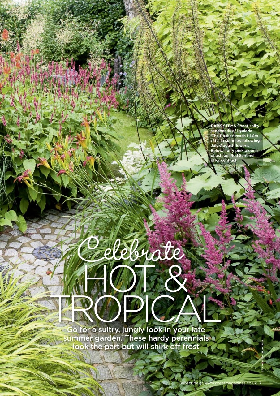 Garden Answers Preview Pages