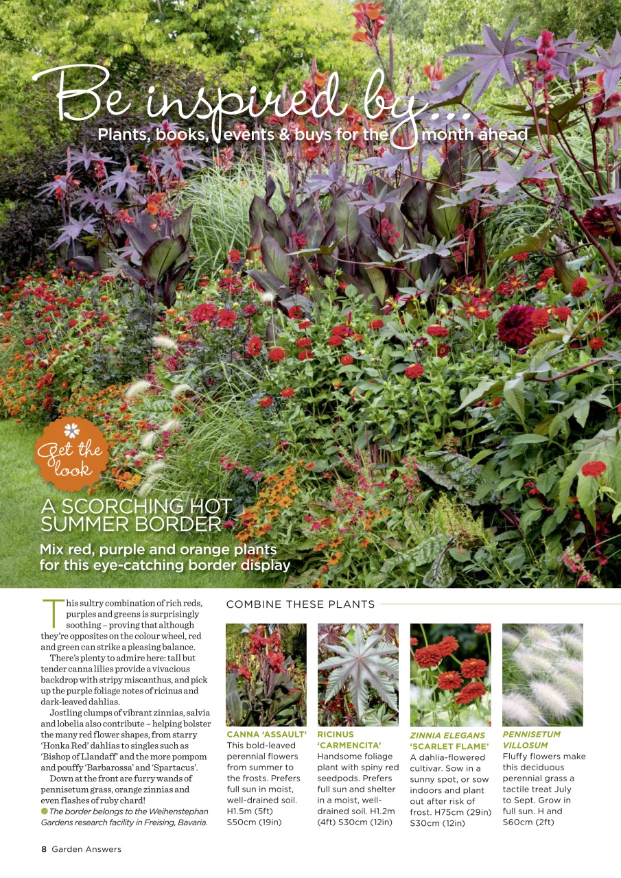 Garden Answers Preview Pages