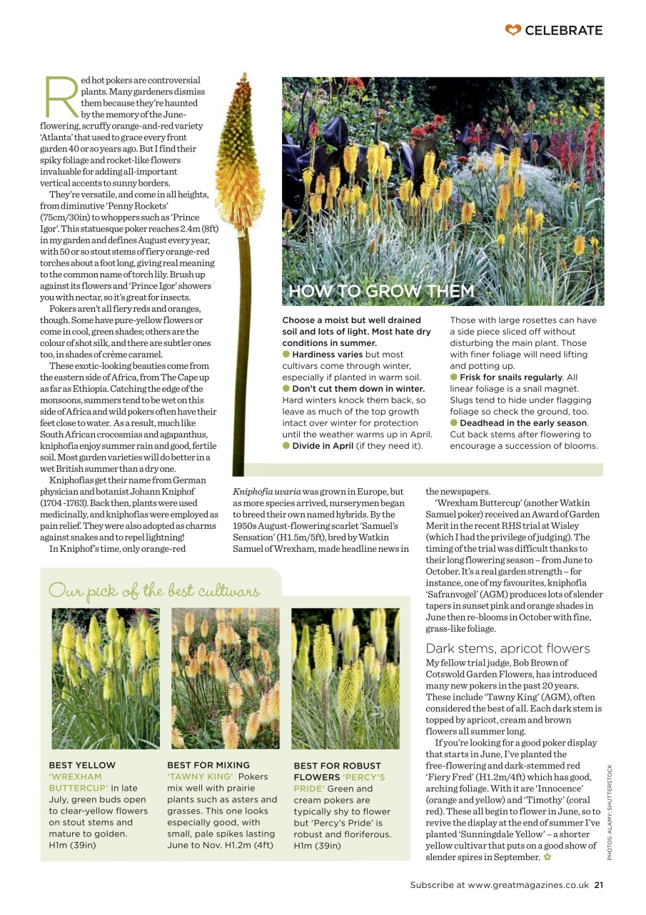 Garden Answers Preview Pages