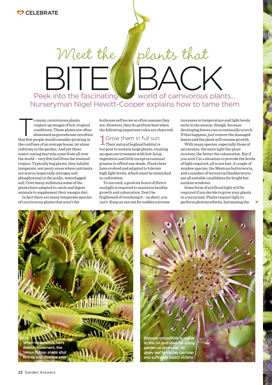 Garden Answers Preview Pages