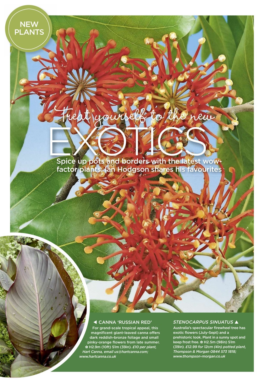 Garden Answers Preview Pages