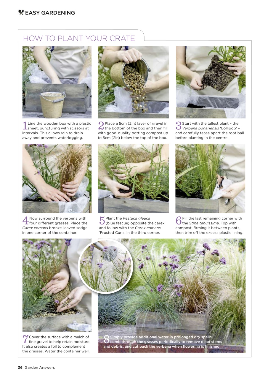 Garden Answers Preview Pages
