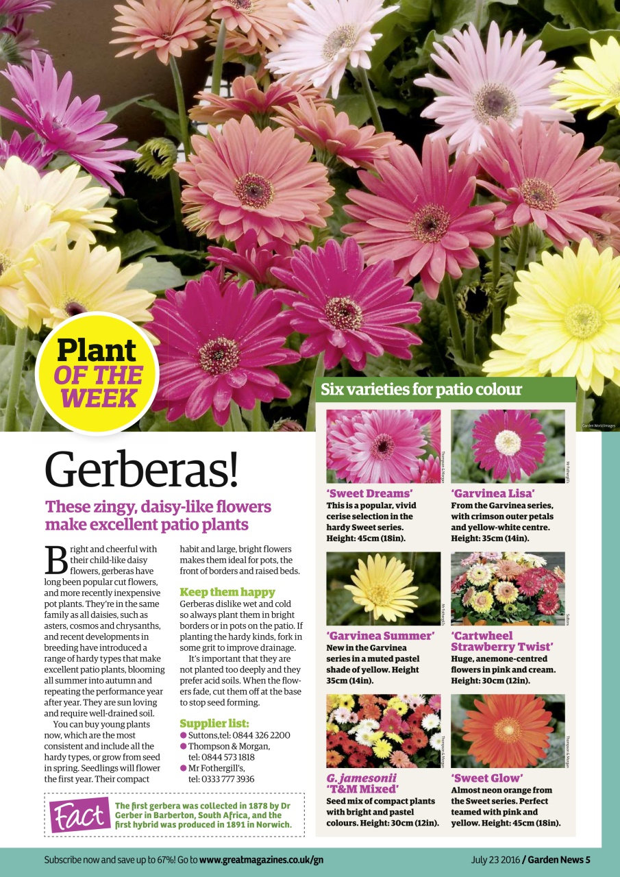 Garden News Preview Pages