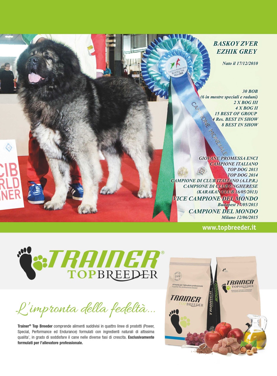 La Gazzetta Della Cinofilia Venatoria Preview Pages