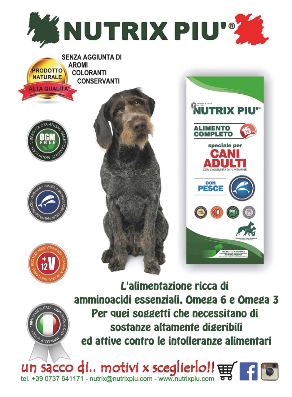 La Gazzetta Della Cinofilia Venatoria Preview Pages