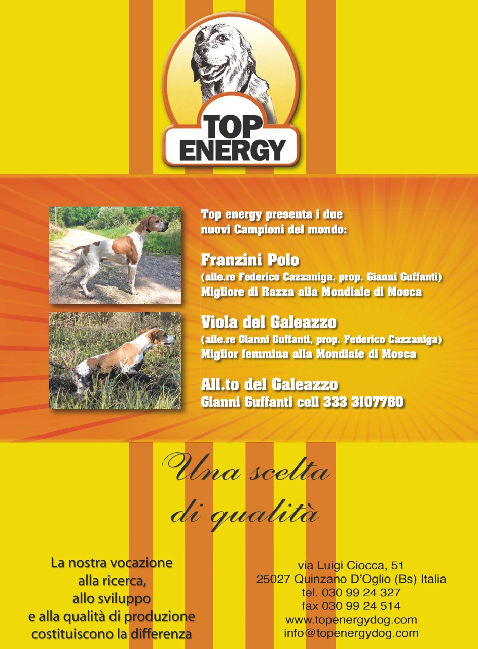 La Gazzetta Della Cinofilia Venatoria Preview Pages