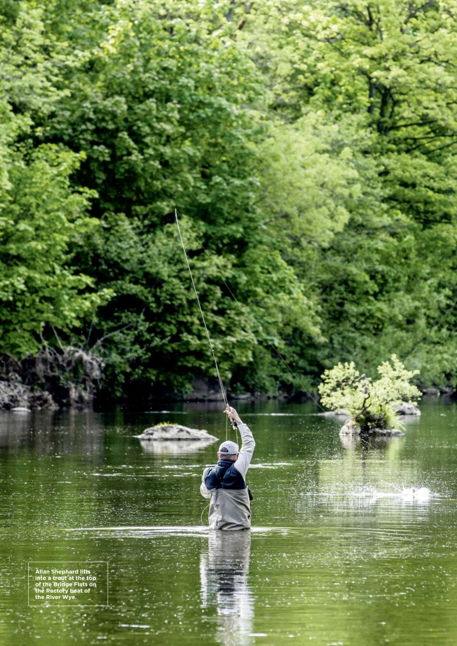 Trout & Salmon Preview Pages