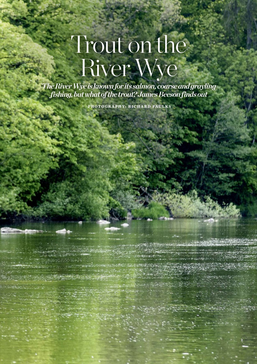 Trout & Salmon Preview Pages