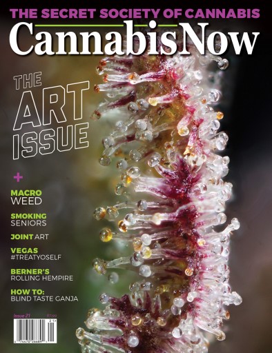 Cannabis Now issue 