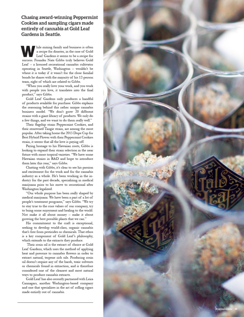 Cannabis Now Preview Pages