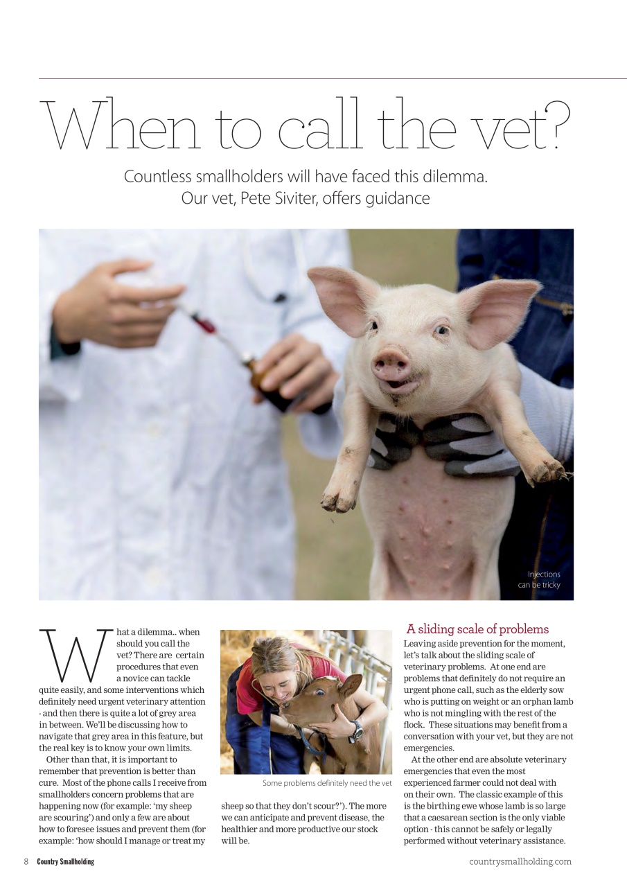 The Country Smallholder Preview Pages