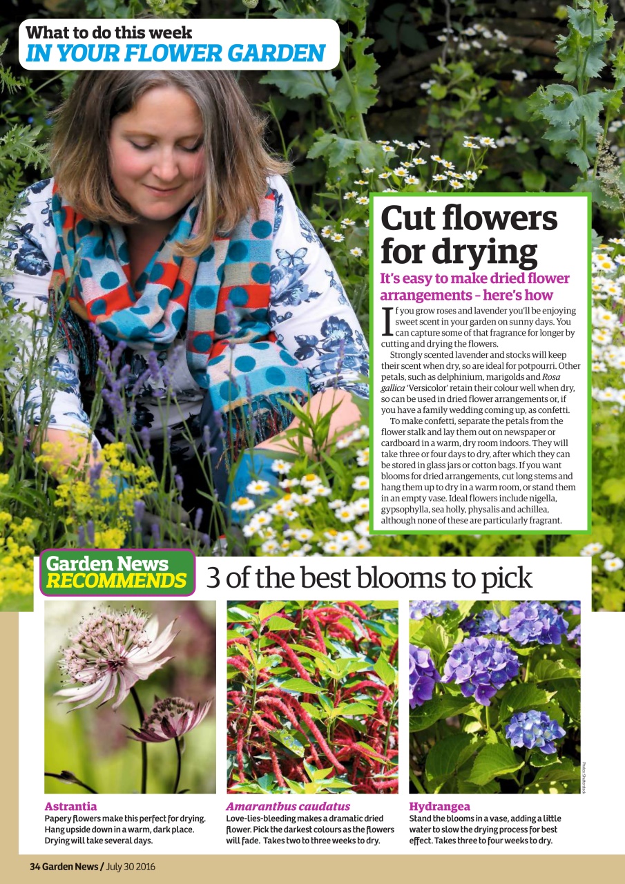 Garden News Preview Pages