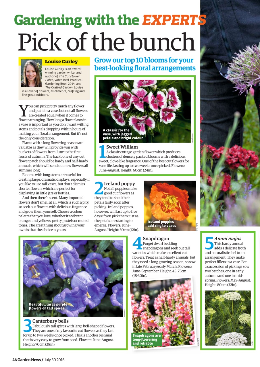 Garden News Preview Pages