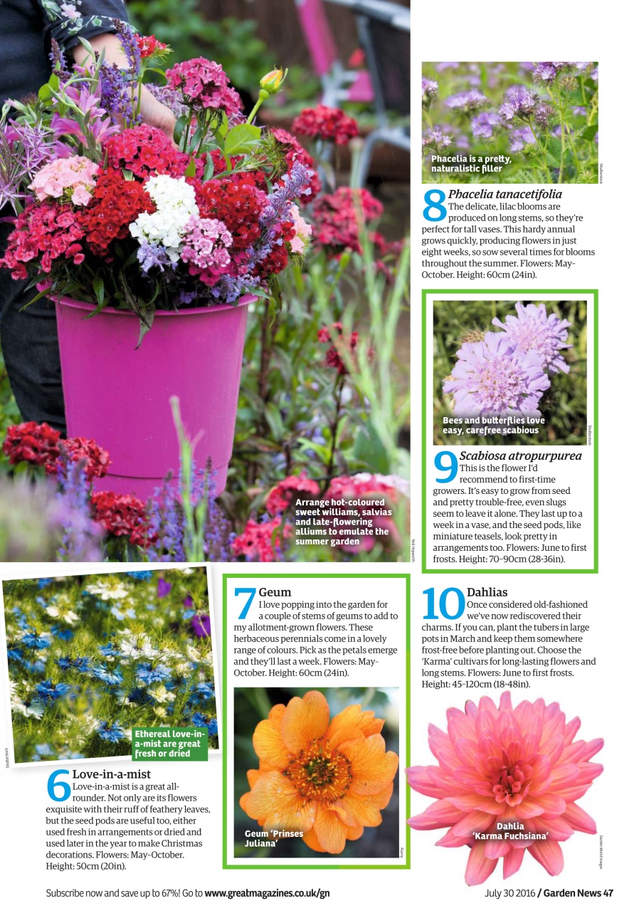 Garden News Preview Pages