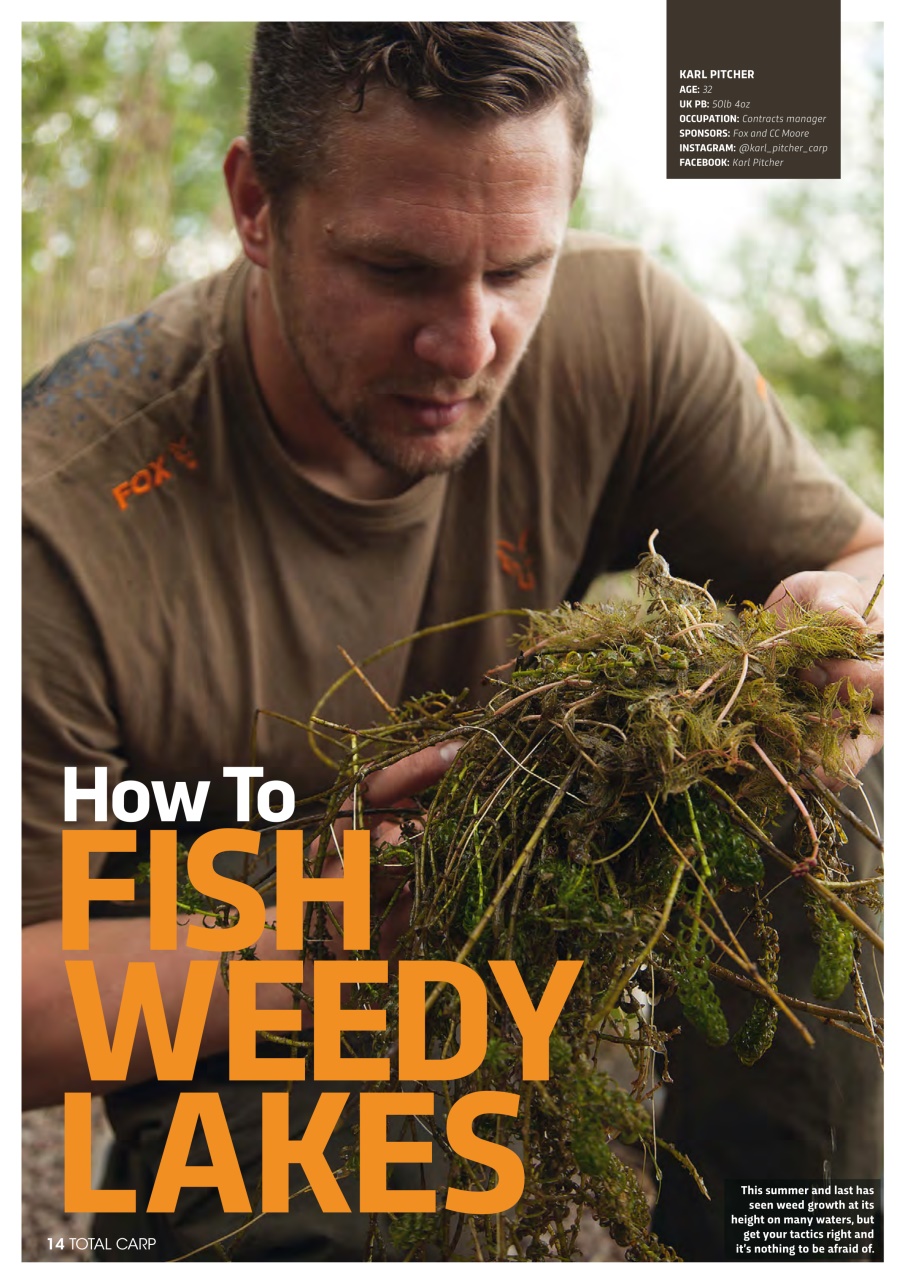 Total Carp Preview Pages