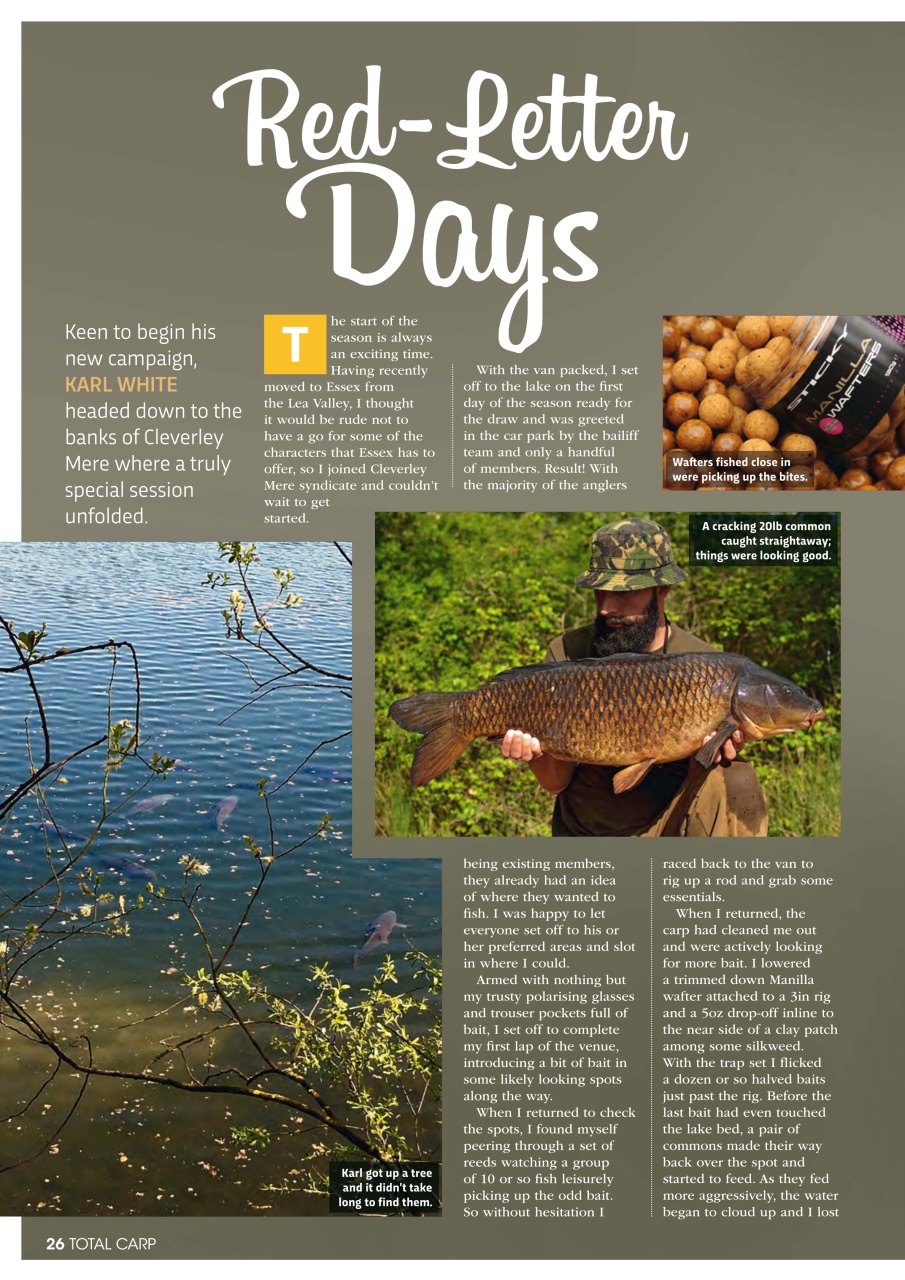 Total Carp Preview Pages