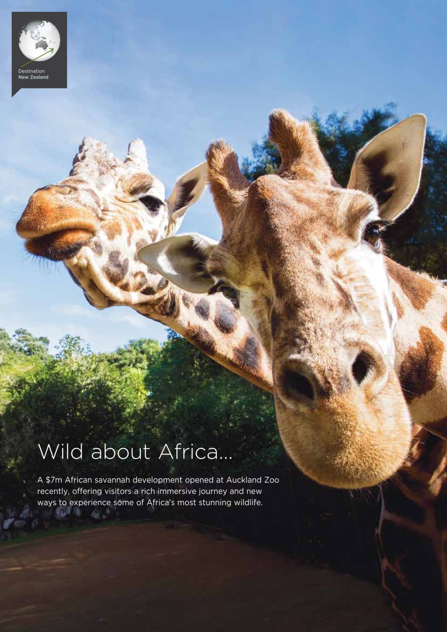 Let’s Travel Preview Pages