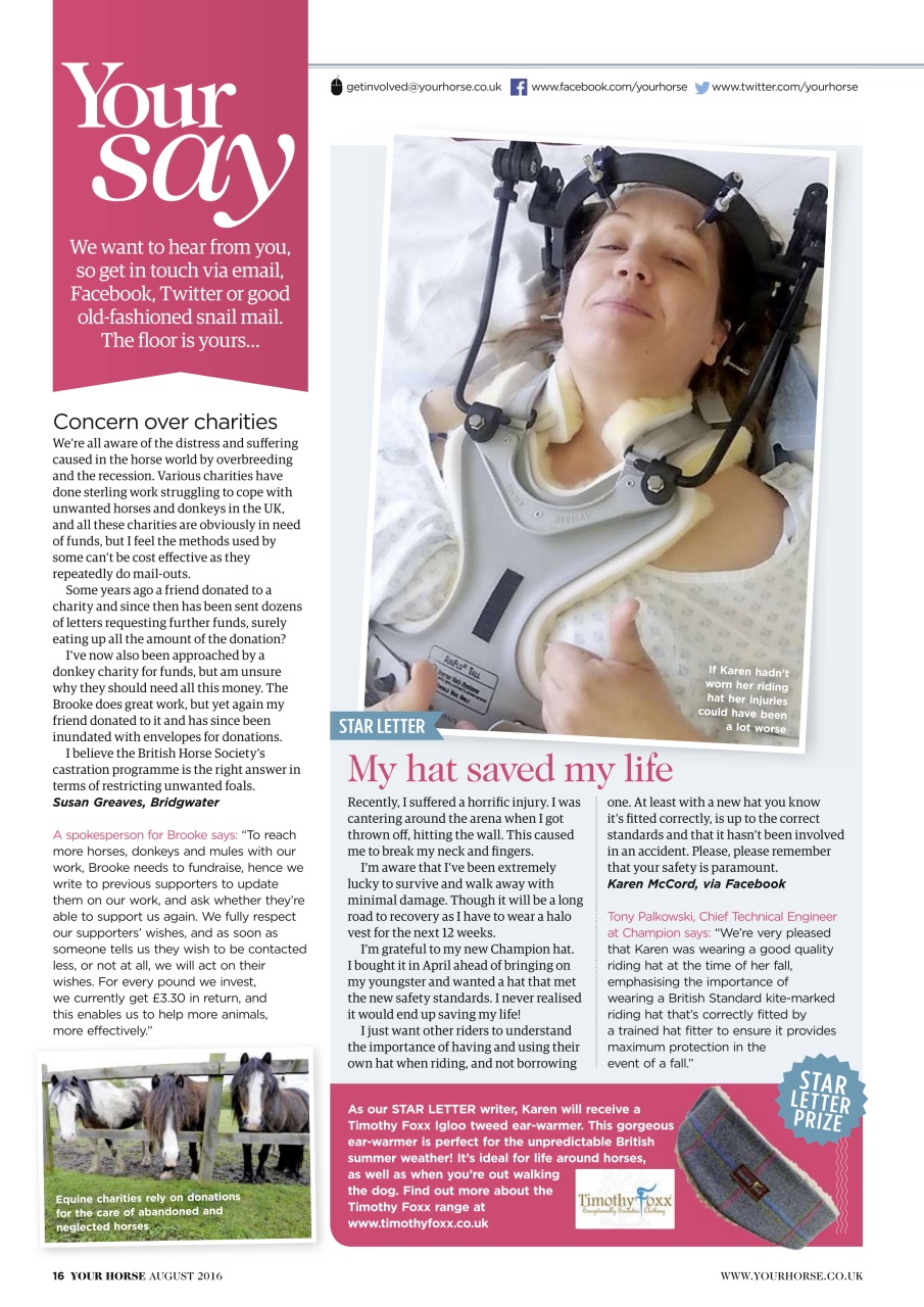 Your Horse Preview Pages