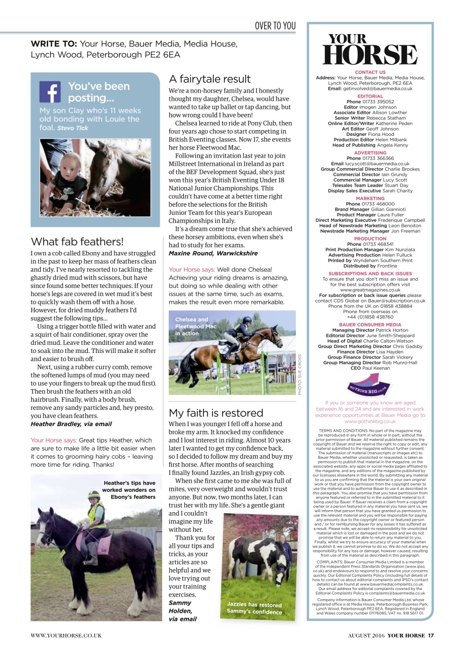 Your Horse Preview Pages