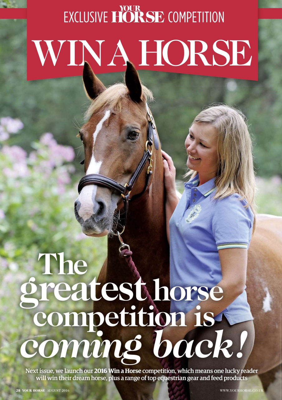 Your Horse Preview Pages