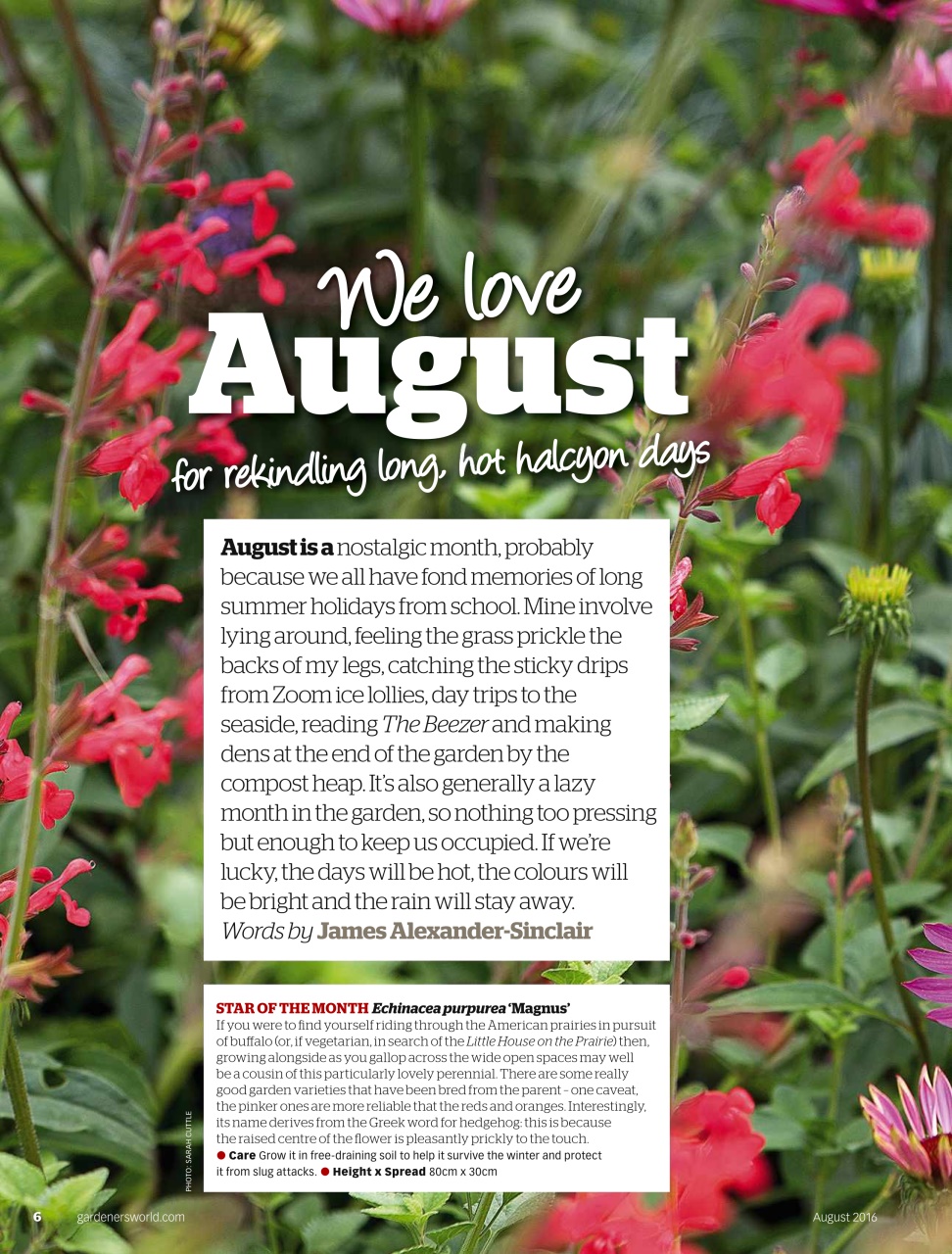 BBC Gardeners’ World Magazine Preview Pages