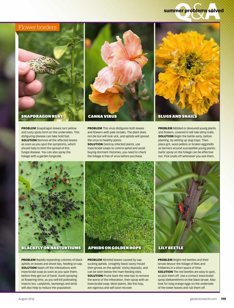 BBC Gardeners’ World Magazine Preview Pages