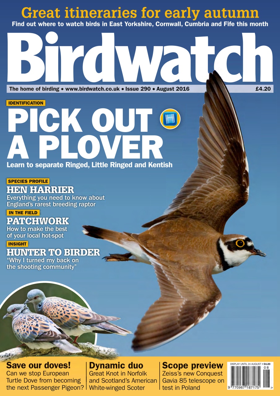 Birdwatch Magazine Preview Pages