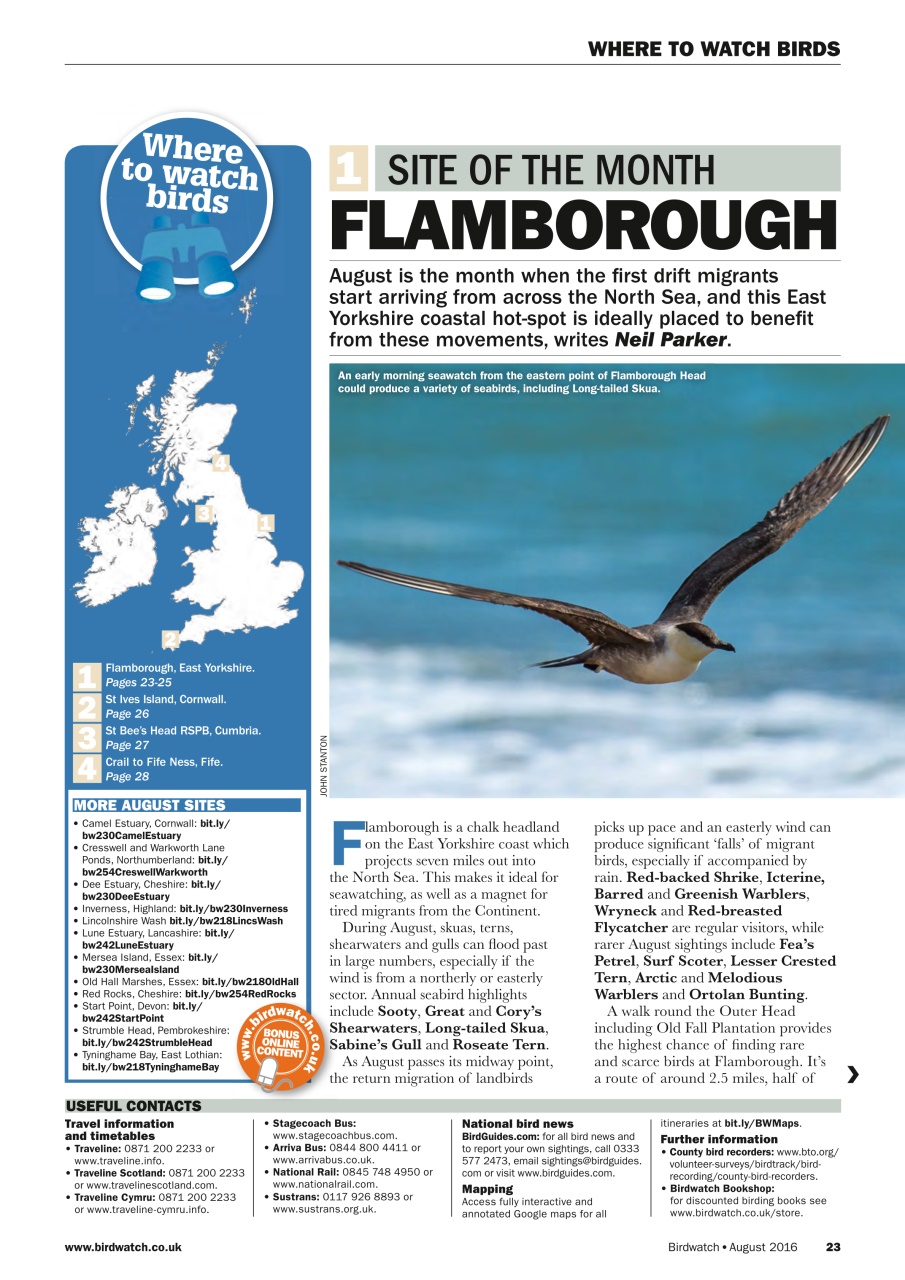 Birdwatch Magazine Preview Pages