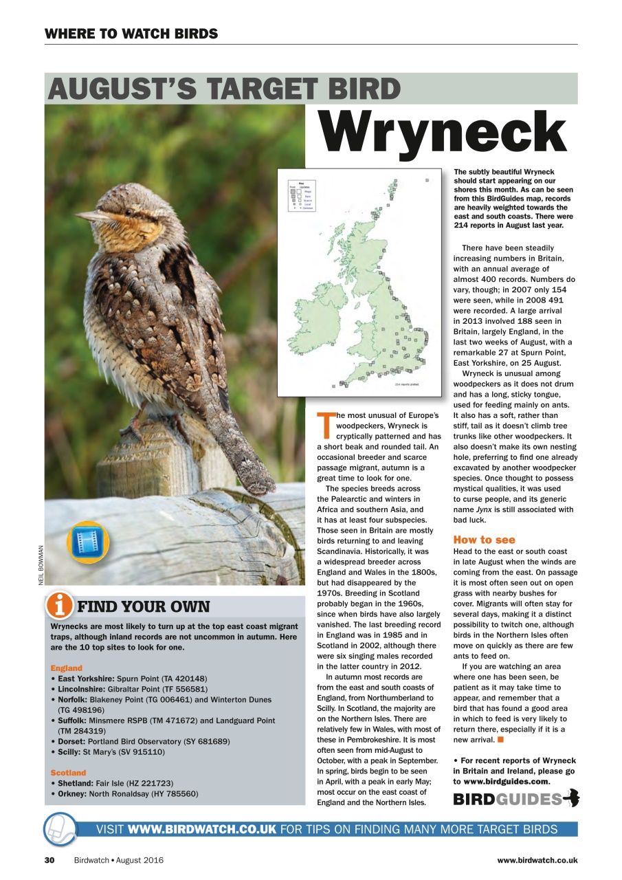 Birdwatch Magazine Preview Pages