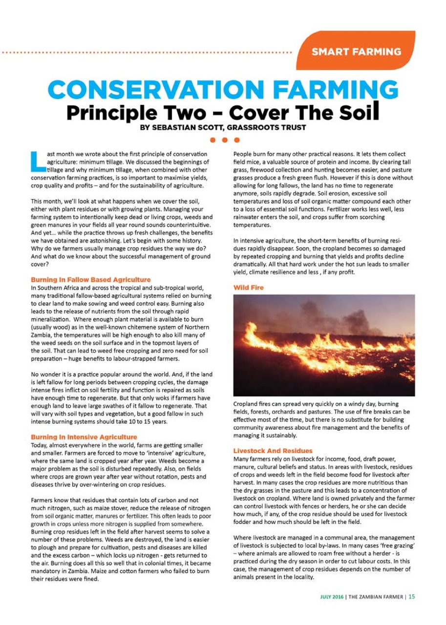 Zambian Farmer Preview Pages