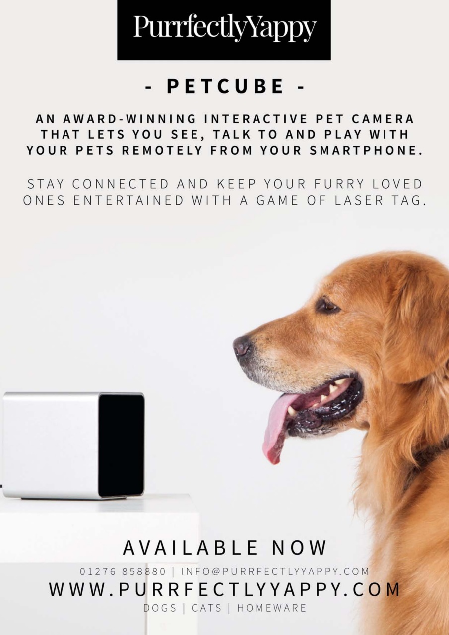 Dogs Monthly Preview Pages