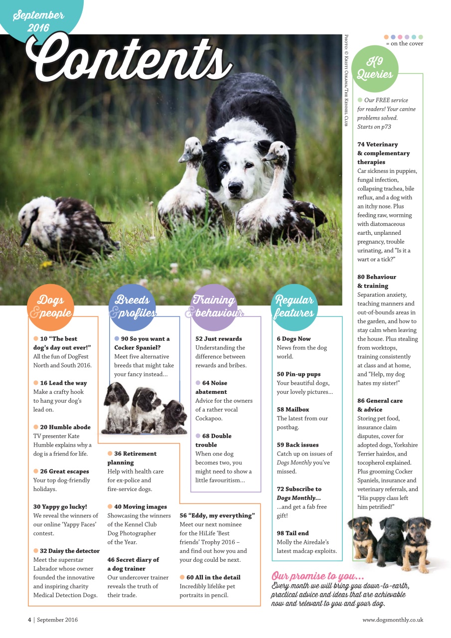 Dogs Monthly Preview Pages