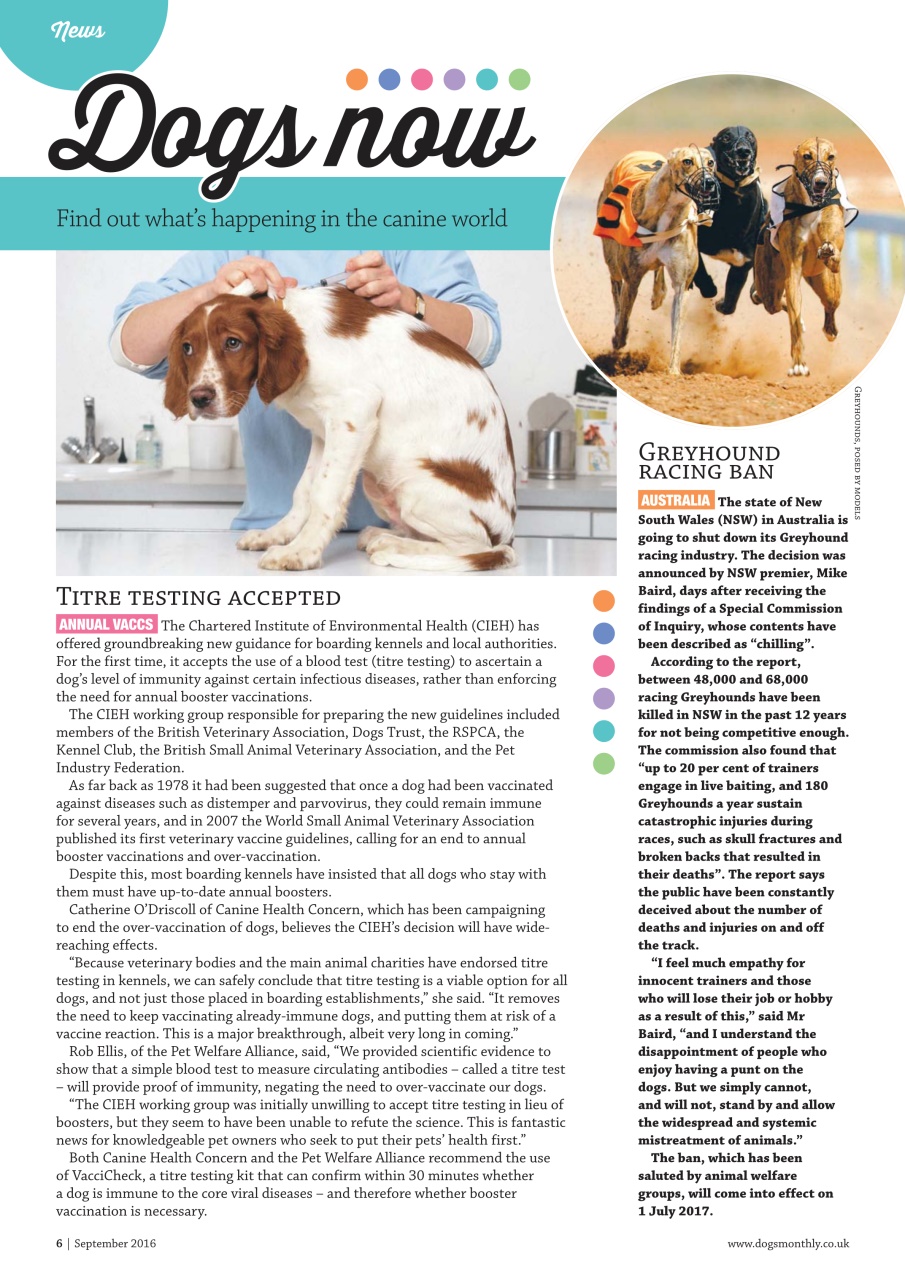 Dogs Monthly Preview Pages